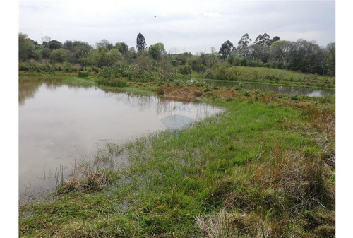 Imagen 6 de 7 de Vendo Campo De 4 Has
