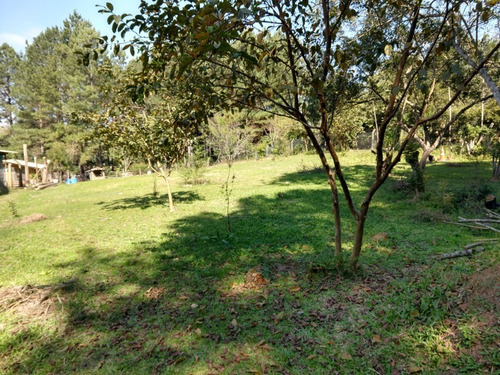 Chácara 2.500 M² - Morungava - Gravataí - Rs - 2204 - 34381840