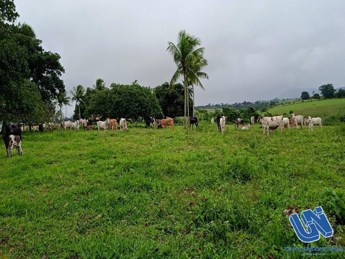 Imagem 6 de 9 de Fazenda Com 92 Tarefas Em São Gonçalo Dos Campos - Bahia - Afd028 - 70496087