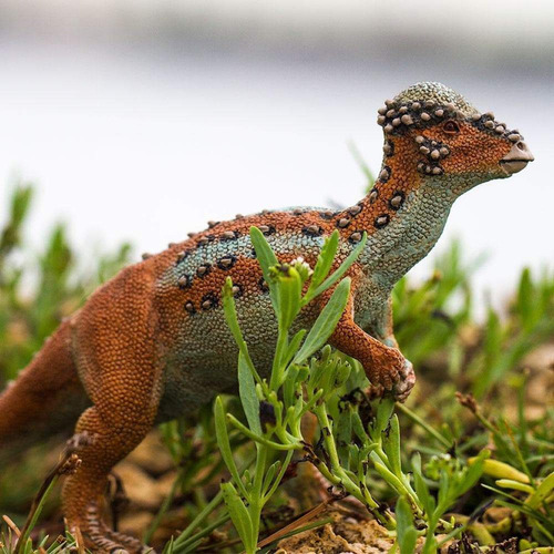 Juguete Safari Figura Dinosaurio Pachycephalosaurus Niño Ax®