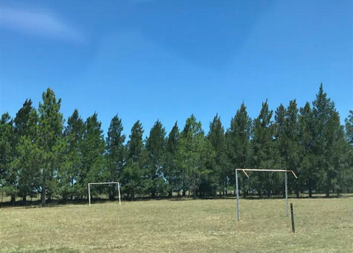 Hermosa Chacra En Alquiler Y Venta