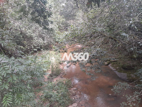 Imagem 15 de 25 de Chácara Com 6 Dormitórios À Venda, 145200 M² Por R$ 800.000,00 - Zona Rural - Urutaí/go - Ch0012