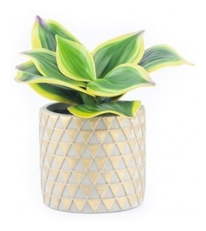 Maceta Free Home Cilindrica Mosaico Gold -g Maceta F Tk697