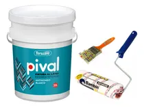 Comprar Combo Pintor Latex Blanco Int - Ext 20 Lt + Rodillo + Pincel
