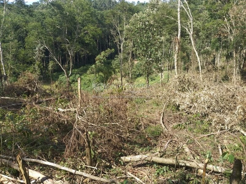 Imagem 15 de 15 de Vendo Lote 5.000 M² - Mairiporã- Cond.monjolinho - Lote A Venda No Bairro Jardim Sinki - Franco Da Rocha, Sp - Sc01715