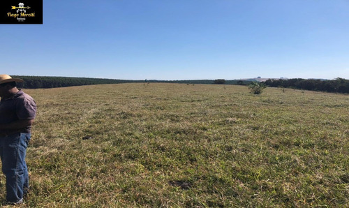 Imagem 5 de 19 de Excelente Fazenda Á Venda Com Ótima Localização Sarutaiá-piraju - Fa00036 - 68204645