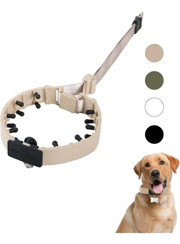 comprar Svd.pet Collar De Púas Para Perros Para Adiestramiento Si...