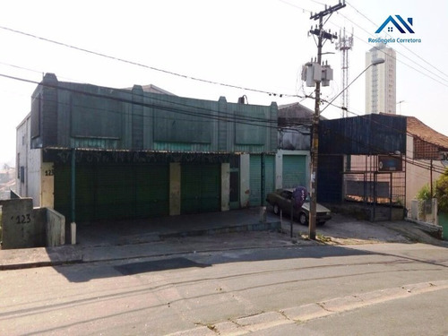 Imagem 3 de 4 de Galpão - Gl00028 - 4946344
