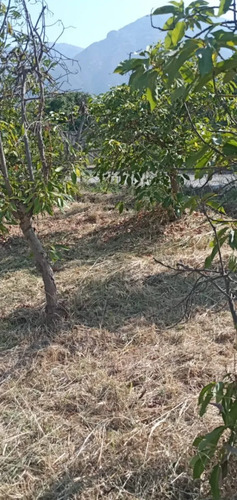 Vendo Hermosa Parcela Condominio De Paltos En La Aparicion