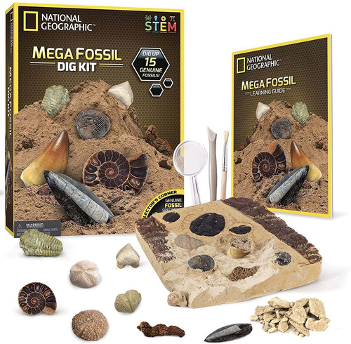 Mega Fossil Dig Kit Excavate 15 Fósiles Reales, Incluy...