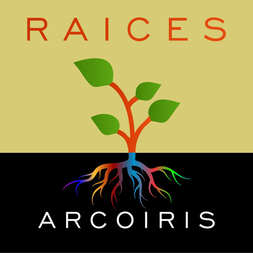 Imagen 4 de 4 de Planta Crisantemo Amarilla Moron Raices Arcoiris
