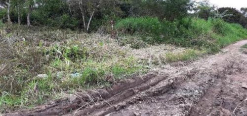 Imagem 1 de 6 de Terreno No Bairro Gaivota, Em Itanhaém, Com 250 M² De Área Total