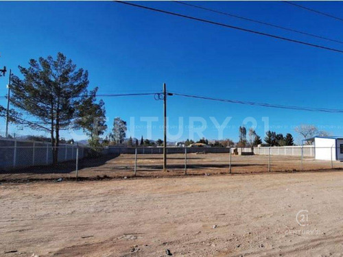 Terreno En Renta En Linda Vista (ejido Tabaloapa), Chihuahua Chih.