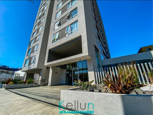 Imagen 12 de 12 de Departamento Mariposa, Uss Y Cercano A Centro De Concepción