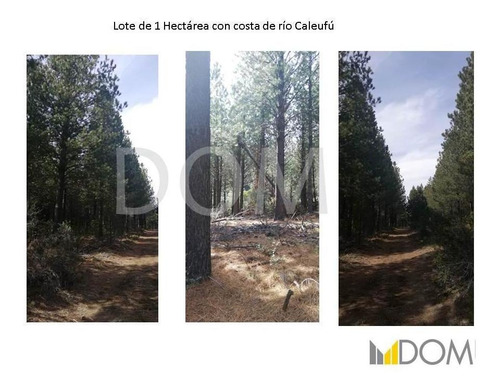 Imagen 7 de 13 de Impresionante Lote De 1ha Con Costa De Río