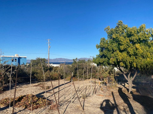 231 Z3 Calle Jose Dolores Aviles, Terreno En El Sargento Bcs