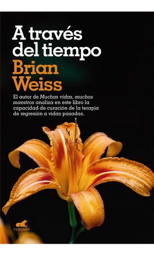 A Traves Del Tiempo - Brian Weiss