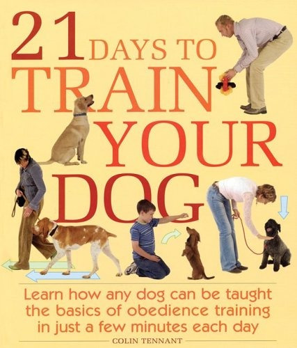 21 Days To Train Your Dog Learn How Any Dog Can Be Taught Th