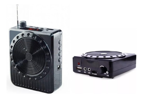 Micrófono Multi-función Megáfono Cintillo Fm Usb Portatil