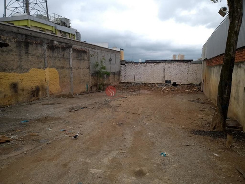Imagem 3 de 14 de Terreno Comercial Com Renda - Consulte !!! - Ta5361