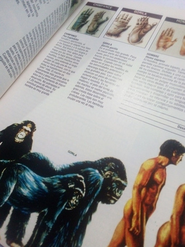 Imagen 4 de 4 de Revista Conozca Más Año 3 No. 12 Lo Que Los Monos Enseñan