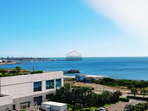 Hermoso Apartamento En Punta Del Este- Ref: 5420