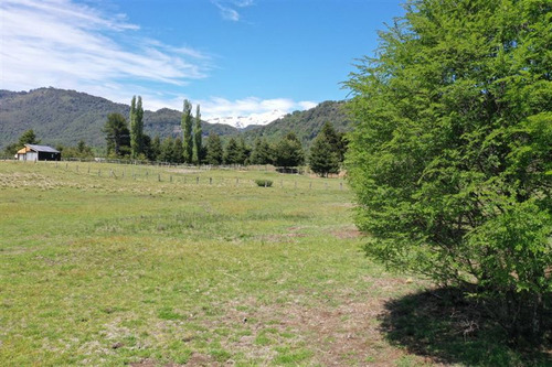 Terreno 5.000 M2 A Pocos Metros Pueblo Malalcahuello