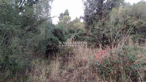 Imagen 10 de 14 de Susana Aravena Propiedades Lote En Venta En Rucahue