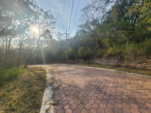 Venta Lote Gladiola 28 En Calle Privada Con Hermosas Vistas Y Todos Los Servicios En Nueva Zona De Fracc Rancho San Diego Ixtapan De La Sal Edomex