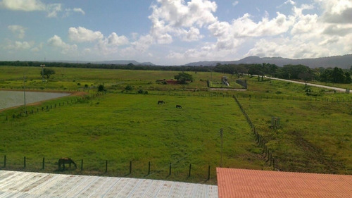 Imagen 7 de 14 de Venta Finca En Falcón Tucacas Oportunidad Cod. 423619