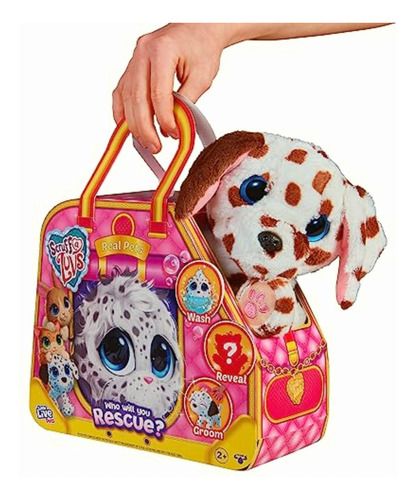 Little Live Scruff-a-luvs S10 Real Pets Paquete Individual