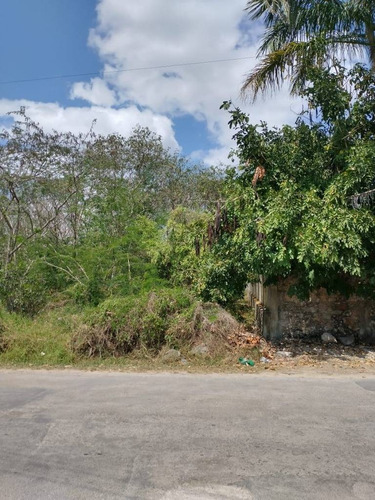 Imagen 6 de 6 de Terreno En Venta En Conkal A 10 Mins De Merida. Construye Ahora.