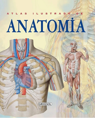 Atlas  De Anatomia Humana Ilustrado