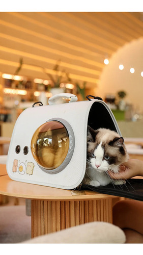 Mochila Bolso Transparente Mascota Perro Y Gato Cosas De Gatos 