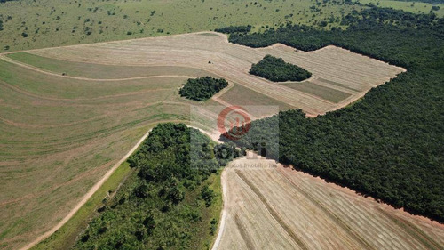 Imagem 17 de 20 de Fazenda À Venda, 4400000 M² Por R$ 22.000.000,00 - Zona Rural - Prata/mg - Fa0109