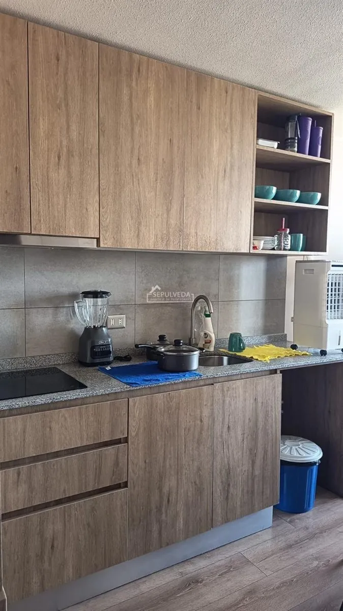 Imagen 4 de 22 de Departamento En Venta De 1 Dorm. En La Cisterna