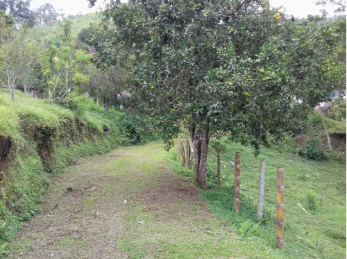 Venta Finca Planadas