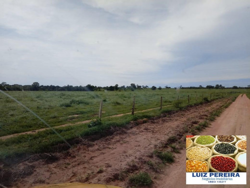 Fazenda À Venda Em Camapuã - Ms - De 830 Hectares (pecuária) - 1568