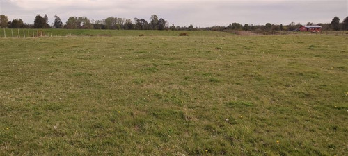 Imagen 11 de 11 de Se Vende Terreno Agrícola 1,5 Ha Quema Del Buey, Puyehue,