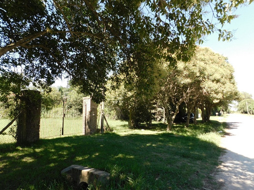 Venta Lote Arbolado 3000 Mts2 Arbolado Cerce De Laguna De Ch