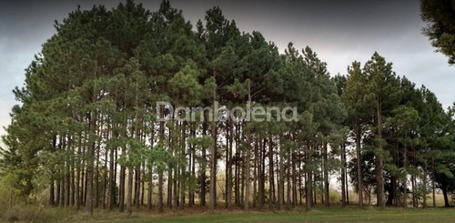 Imagen 11 de 17 de Terreno En Venta O Permuta Ubicado En Pilar, Pilar Y Alrededores