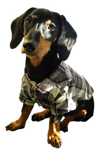 Remeras Camisas Ropa Para Perros Y Gatos  Puppi  Dog