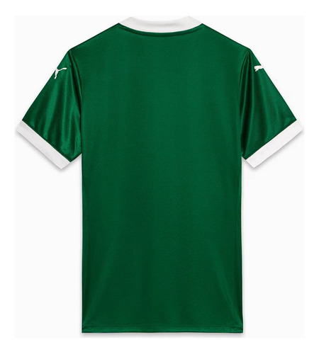 Camisa Palmeiras 2025/26 Masculina Torcedor