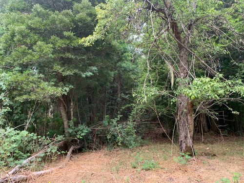 Parcela De 7.500 Mt2 En Sector Puninque