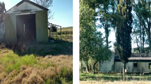 Imagen 9 de 12 de Terreno Campo En Venta Ubicado En Río Negro, Río Negro