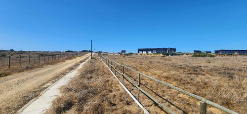 Parcela Frente Al Mar, Condominio Punta De Galllo Tunquen