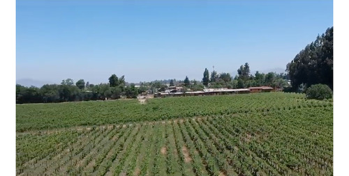 M64218 - Venta Terreno Viñas De Buin Sin Comision - 10 Ha