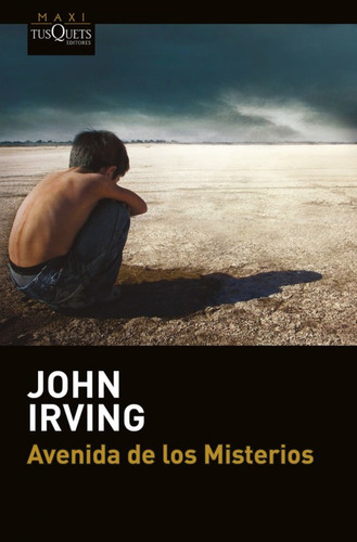 Libro Avenida De Los Misterios De Irving, John