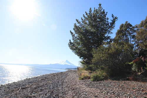 Preciosa Parcela De 1 Hectárea A Orilla Del Lago Llanquihu