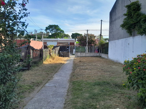 Alquiler Casa En Prado, 3 Dormitorios, Planta Baja, Amplio Terreno Con Patio Y Lugar De Vehiculos